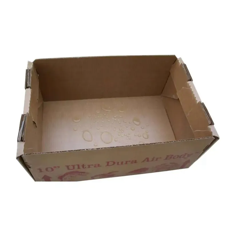 Tại sao thùng carton sóng sáp lại trở nên cần thiết cho bao bì dây chuyền lạnh?
