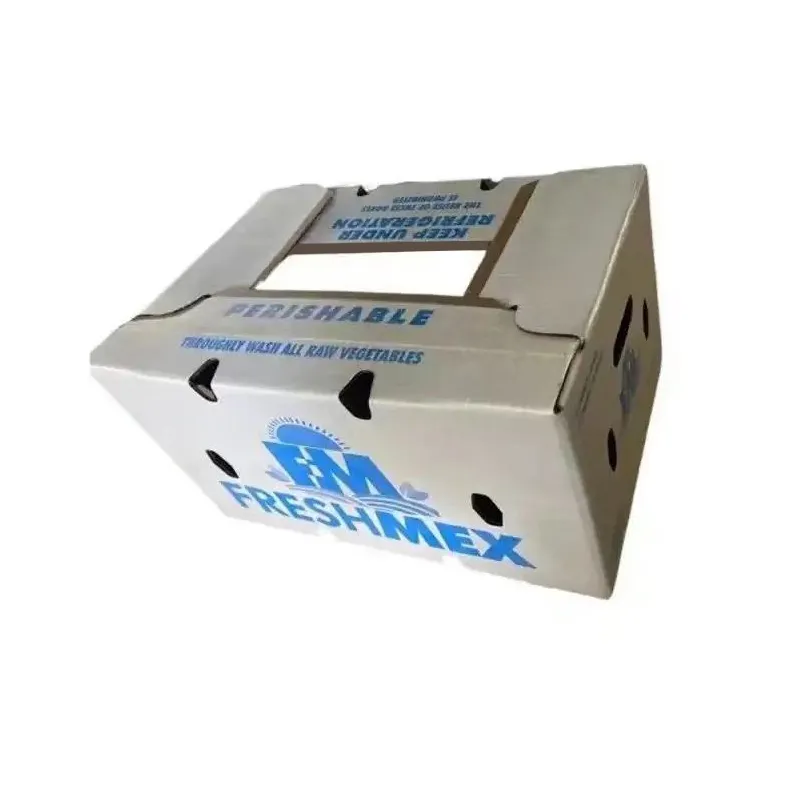 Hộp giấy sáp phân hủy sinh học